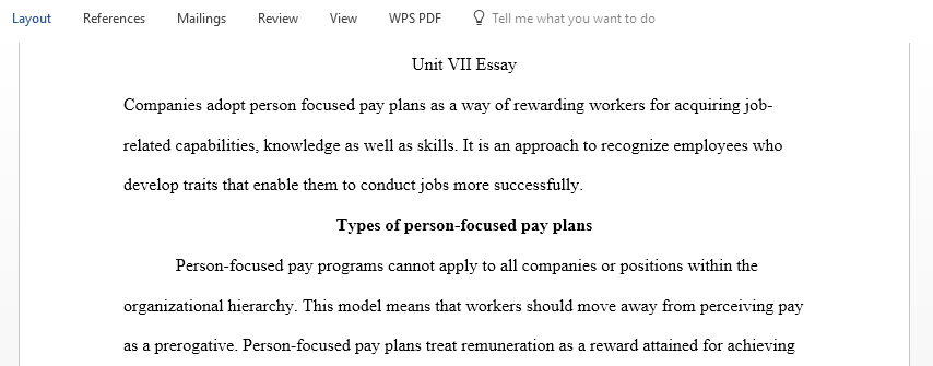  Person focused pay plans essay